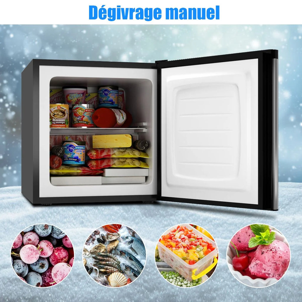 Mini Congélateur Vertical Capacité 31,1 L Porte Réversible en Acier Inoxydable Contrôle Mécanique Température Réglable