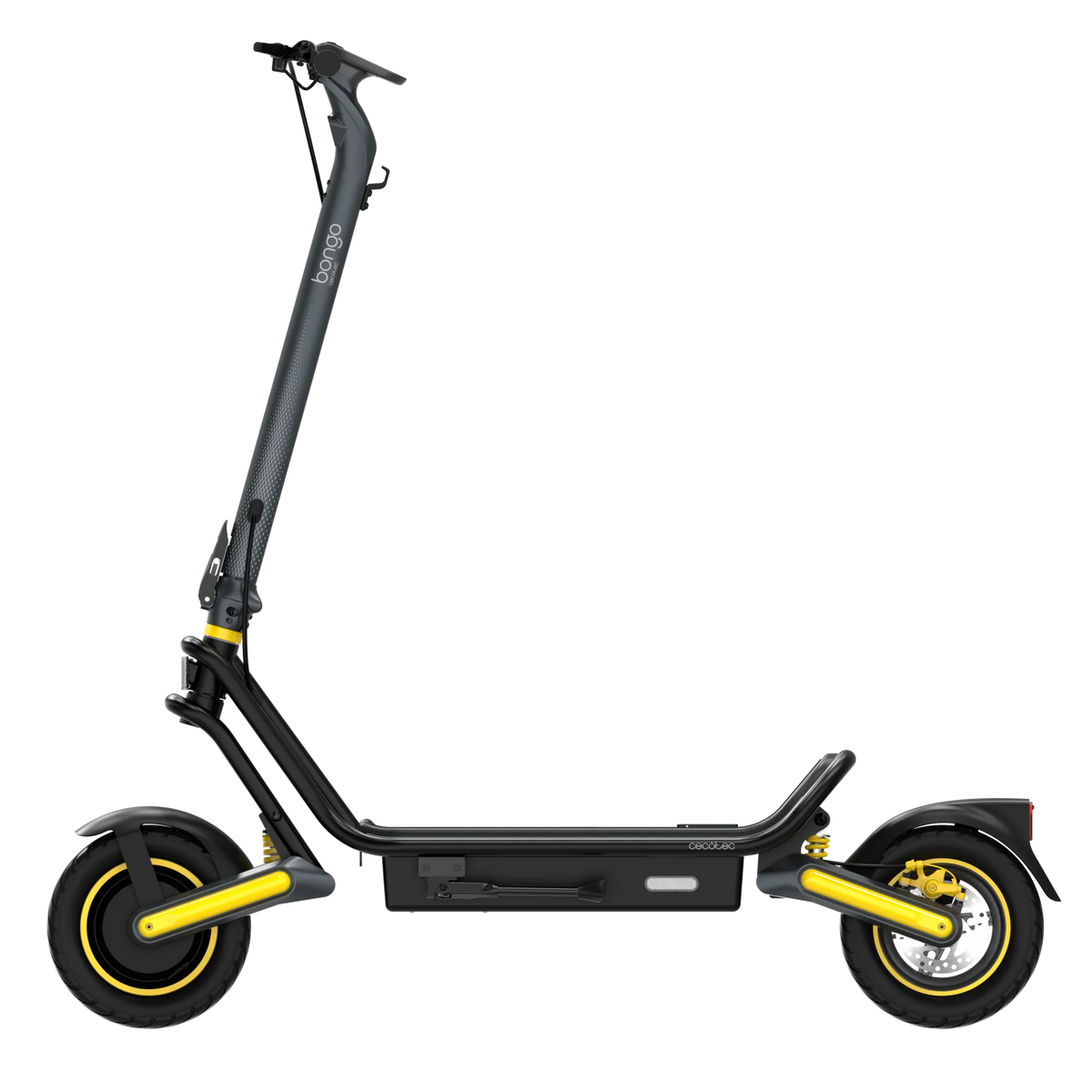Bongo GS50 XXL Connected